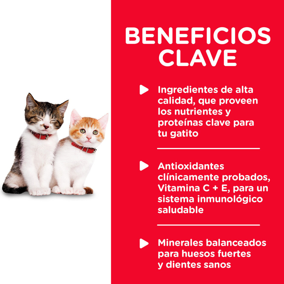 Alimento Hill's Science Diet Original Kitten Healthy Cuisine Para Gatito Lata 80g