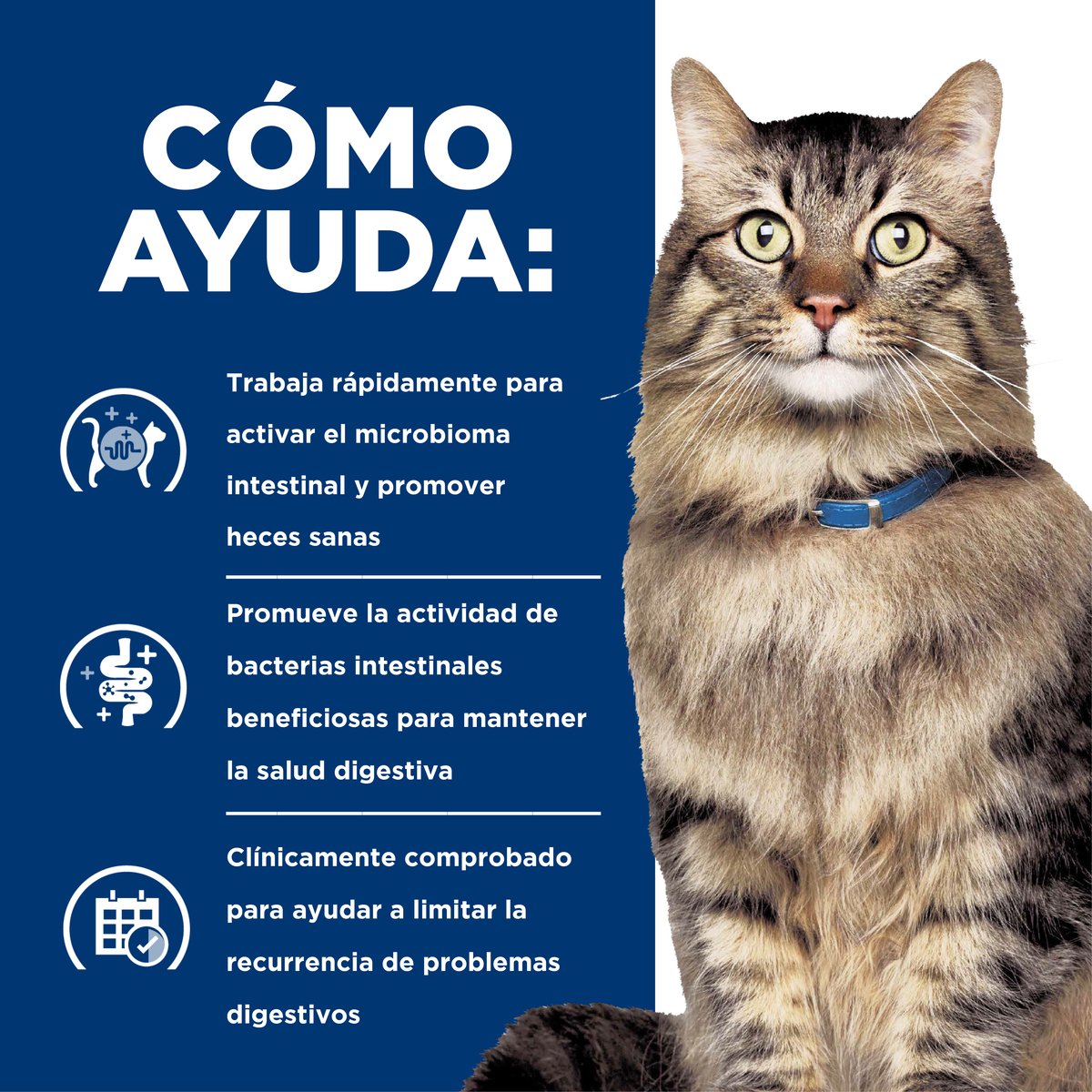 Hill's Prescription Diet Gastrointestinal Biome Para Gato Lata 82g