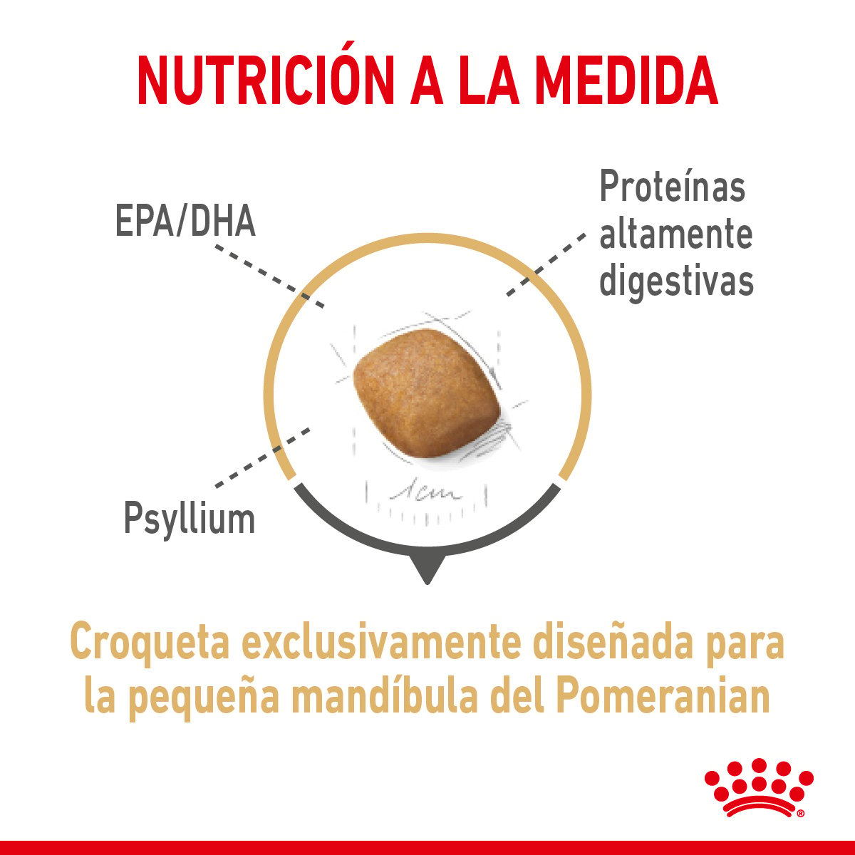 Royal Canin Alimento Seco para Perro Adulto Raza Pomerania