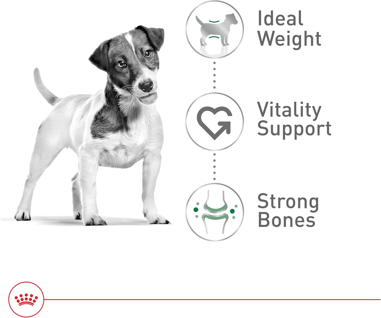 Royal Canin Croquetas para Perros Pequeños, Mini Mature +8, 1.1 kg