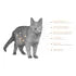 Nupec Alimento Digestive Health Para Gato