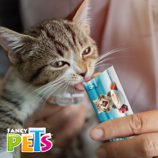 Yummy Creamy P/Gato Atún y Salmon 56 g (4 Tubos de 14 g c/u)