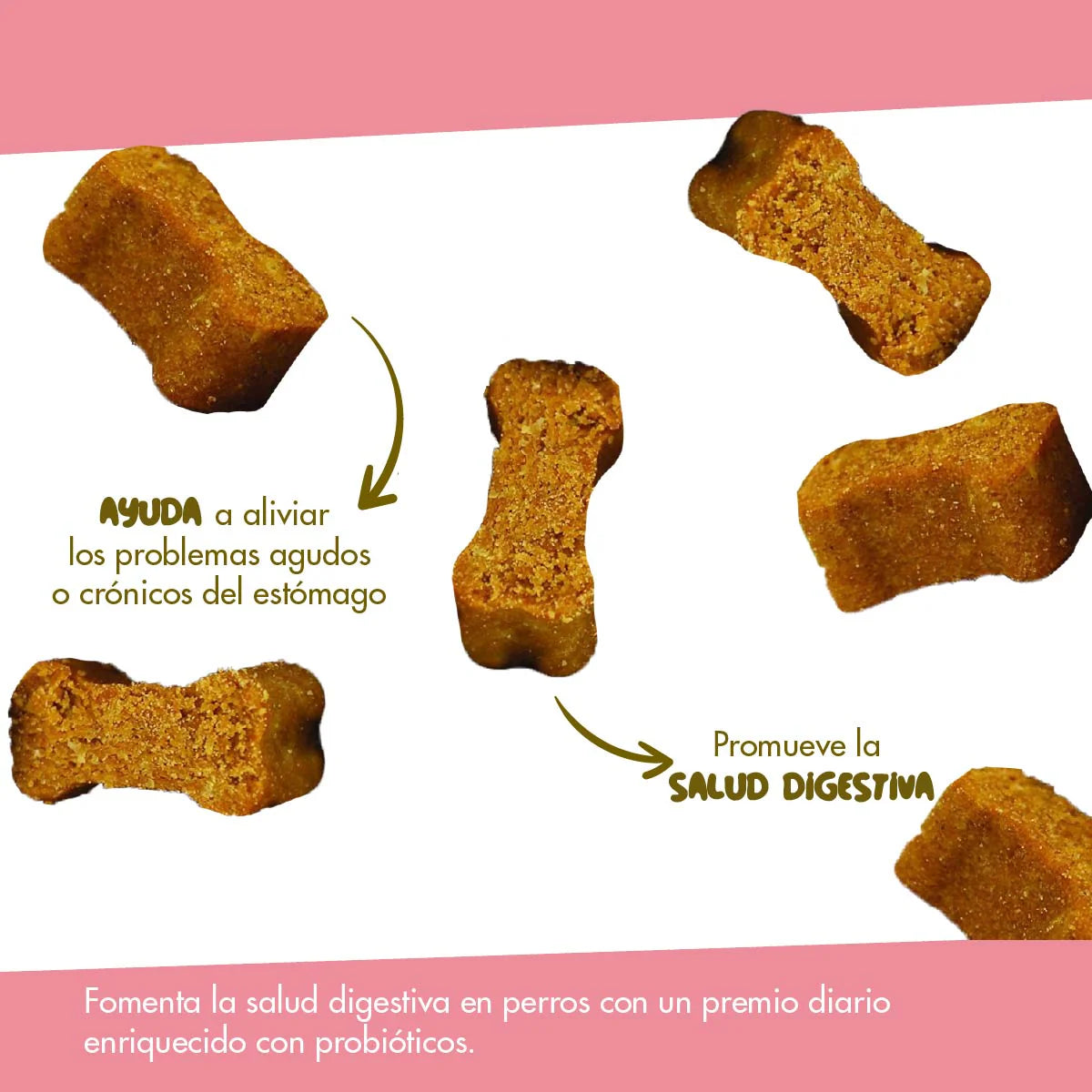 Pet Naturals Daily Probiotic Para Perros 60 Masticables
