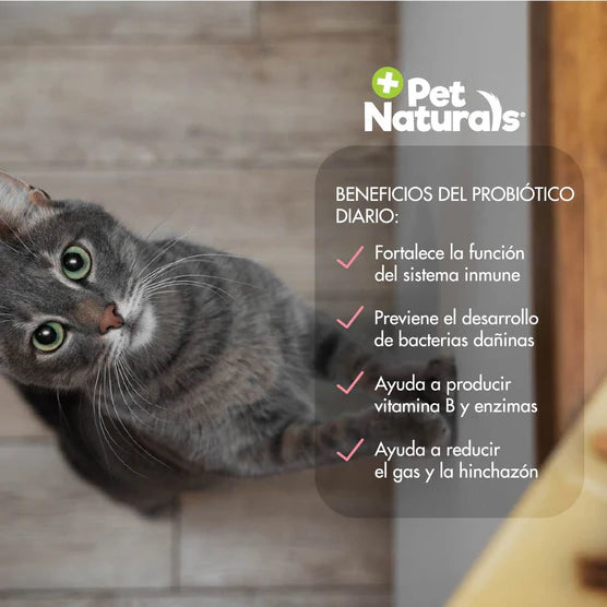 Pet Naturals Daily Probiotic Para Gatos 30 Masticables