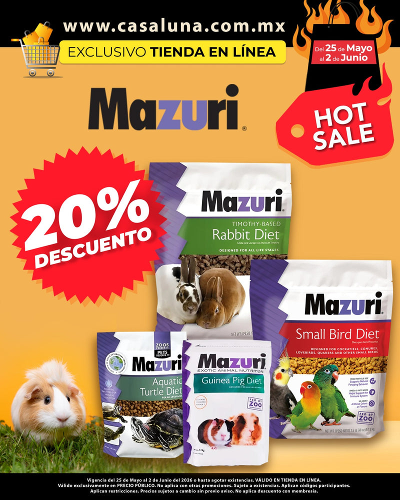 Imagen 4 del popup