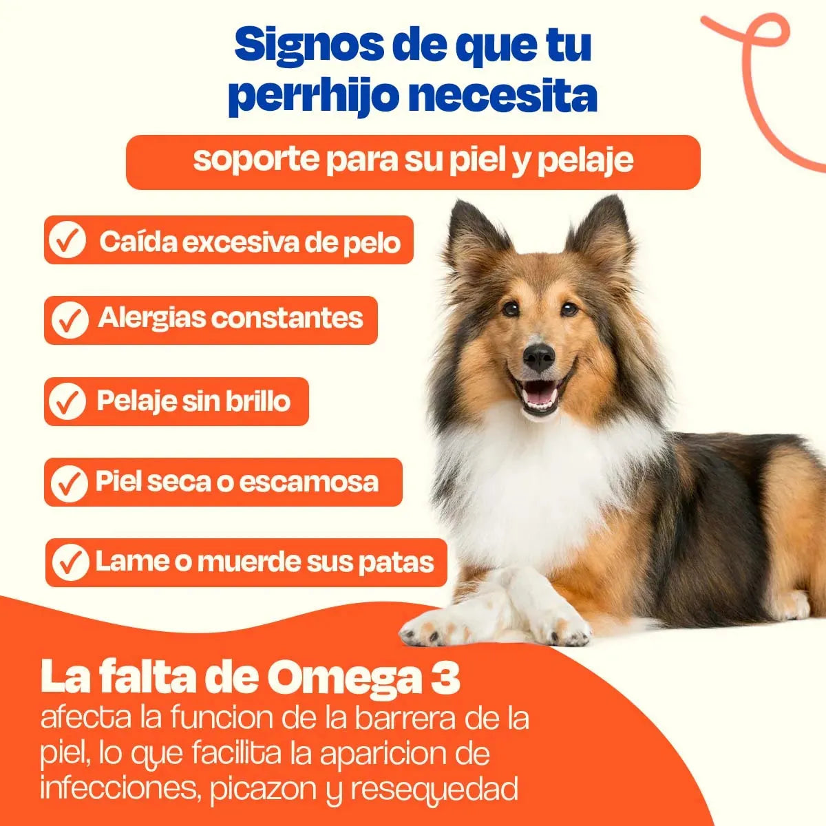 Pure Salmon Oil