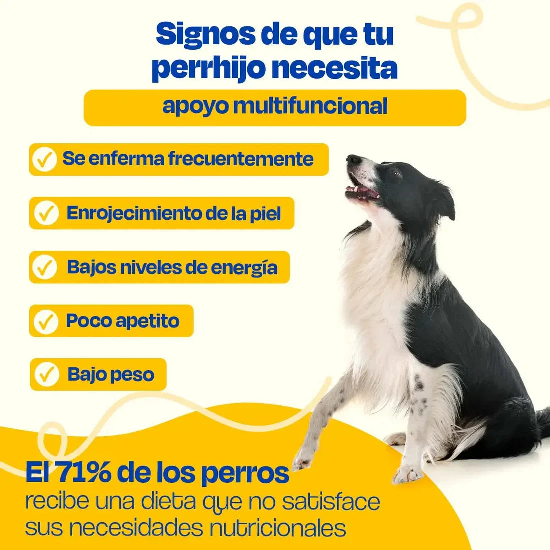 Suplemento Multivitamin 20 en 1