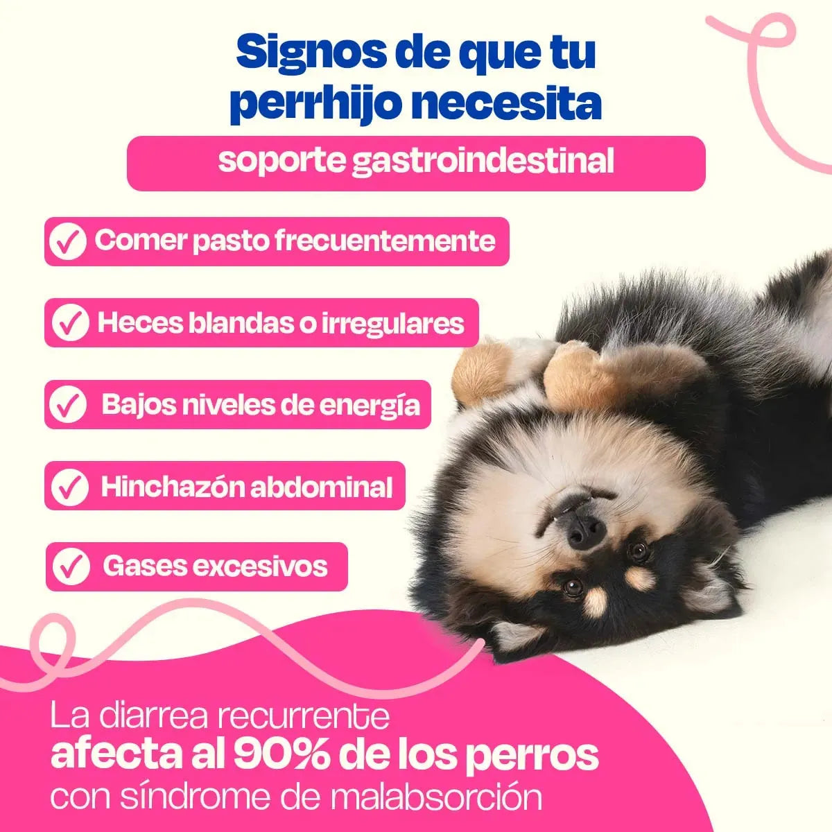 Gastro Aid Suplemento
