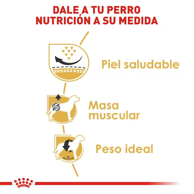Alimento Royal Canin BHN Pug Adulto (UNICAMENTE BAJO PEDIDO)