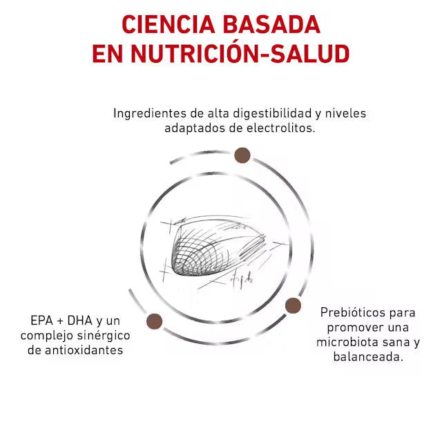 Alimento Royal Canin Gastrointestinal Para Gato 4kg