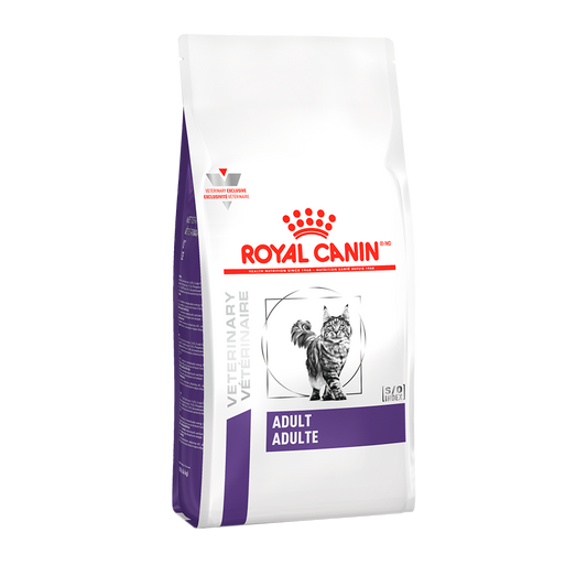 Alimento Royal Canin Para Gato Adulto