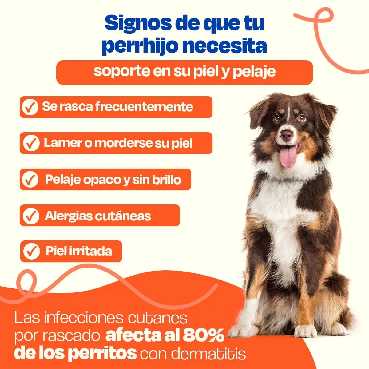 Suplemento Skin & Coat