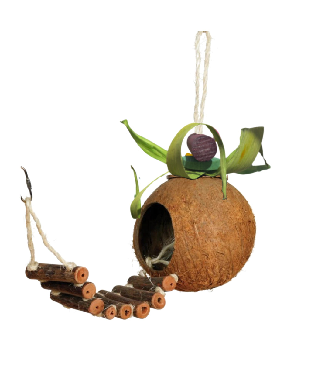 Nido coco