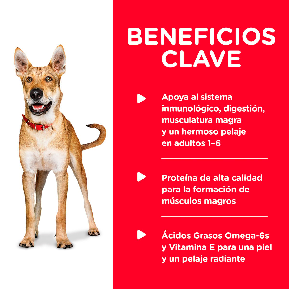 Alimento Hill's Science Diet Original Adulto Para Perro Lata 370g